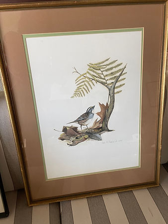 IMG_0038.jpeg