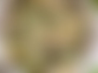 Creamy Mascarpone Pasta with Chicken & Asparagus