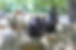 IMG_2750 copy.jpg