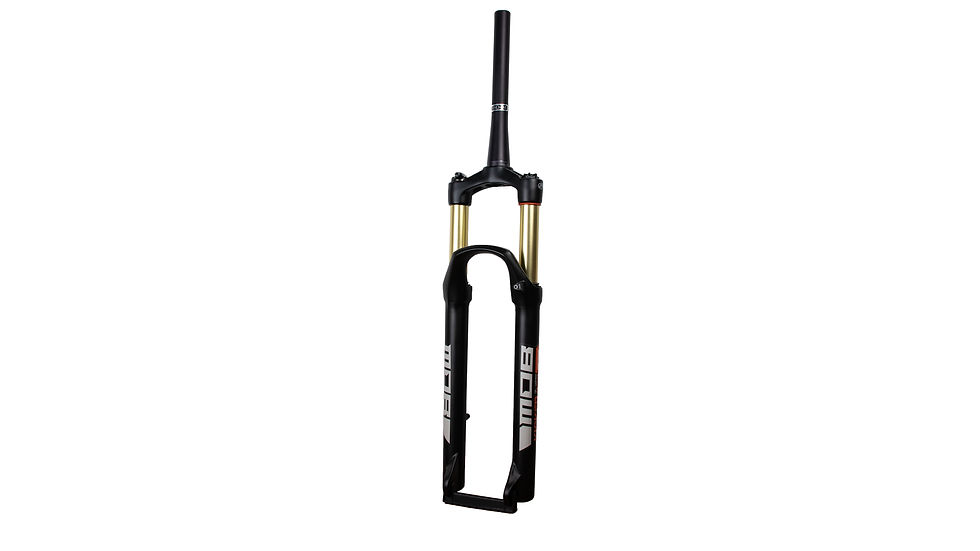 Magnesium Kicker 800 TAQR Suspension Fork
