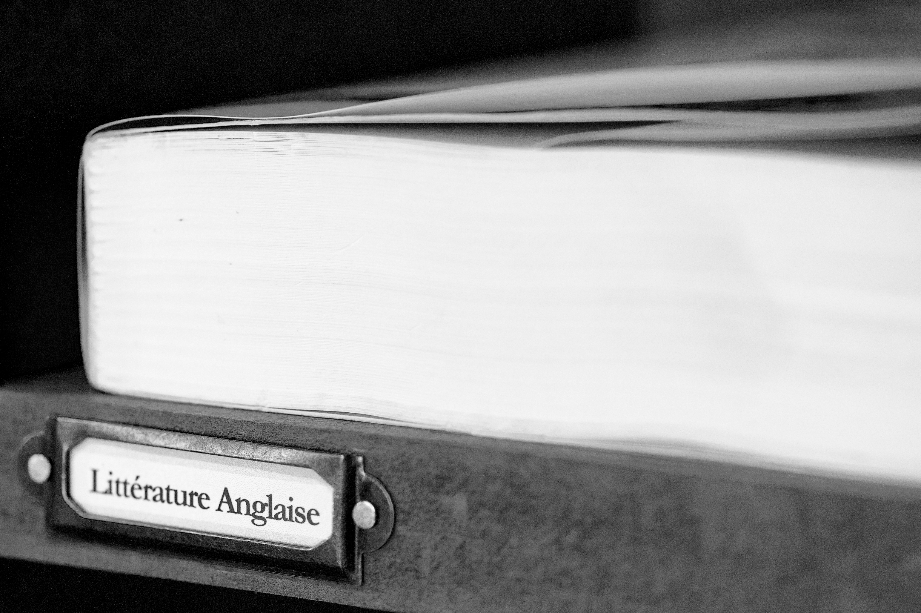 Littérature angaise