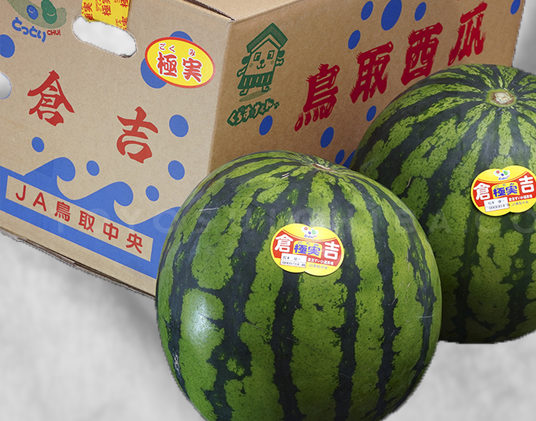 倉吉西瓜.png
