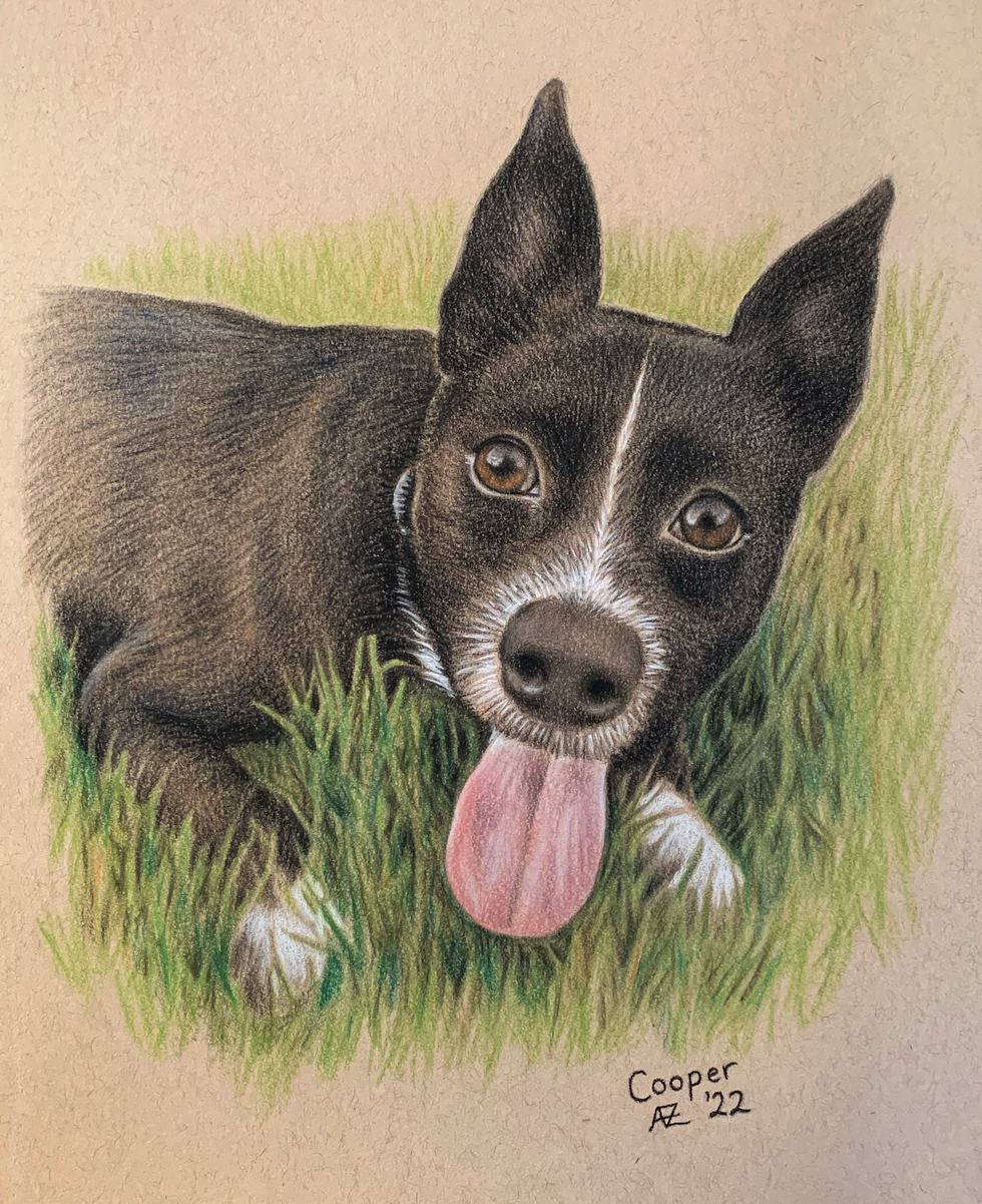 Cooper