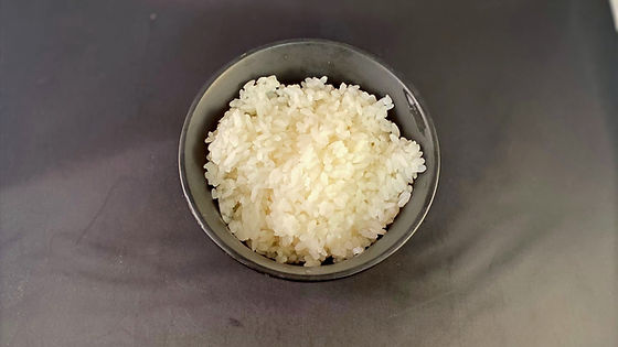Japanese White Rice / 白ごはん