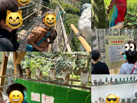 外出レク🌱