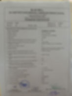 SHAMBHAVI SHARMA XII