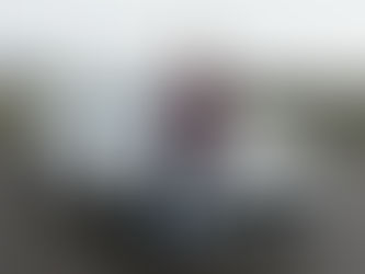 2018 FORD MUSTANG 5.0l V8 GT PREMIUM - MY FIRST TOP GEAR STYLE REVIEW