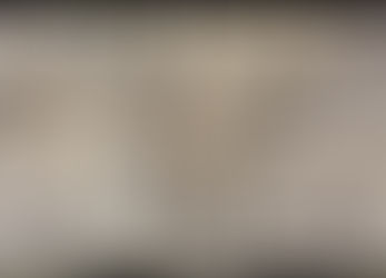 Valores dignificantes: Libertad & Piedad