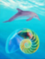 Floating Harmony