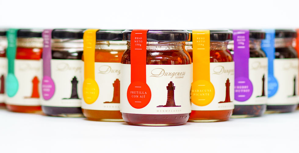 DSC01413-2 - Dungeness - Banner - Fondo