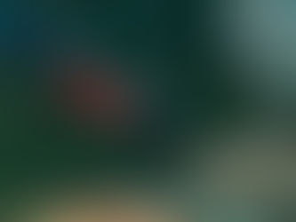 Does the Logo on Your Dive Card Really Matter?