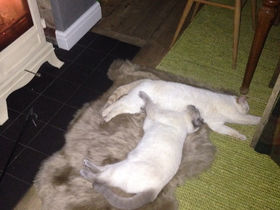 Fred & Ted