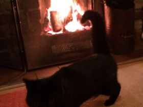 Zeytin