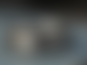 The Ultimate Guide to Preventing Ring Spin: Sizing Beads vs Euro Shanks Explained by Garner Wallace Keller Texas