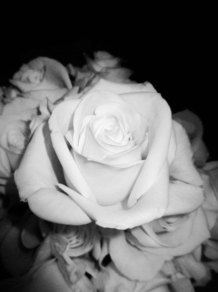 color - black & white