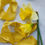 Thumbnail: Daffodil Yellow