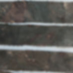 Thumbnail: Botanical Memories 16