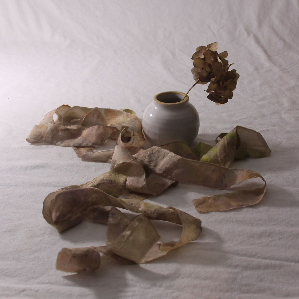 Thumbnail: Botanical Memories 4