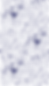 pps Websites BACKGROUND-01.png