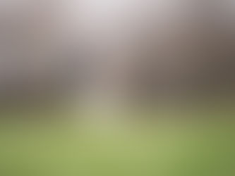 5 Aktivitäten, die dabei helfen, die richtige Silhouette und das richtige Gewicht des Hundes zu erha