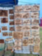 Evolving Creations Ltd