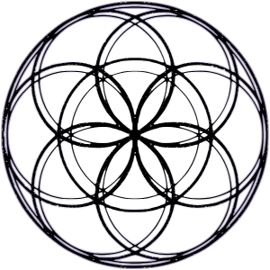 logo_seed of life_edited_edited.png