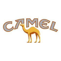 Camel-Logo-Vector
