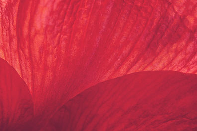 red and white abstract painting_edited.jpg
