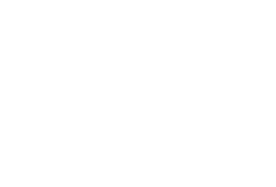 5bulle2.webp