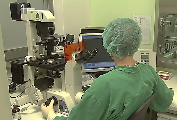 Laboratory for cell and tissue cultures, Institue of Cell Biology, Ljubljana