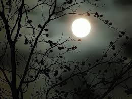 The Media, Climate Change and Madness - Astrologically