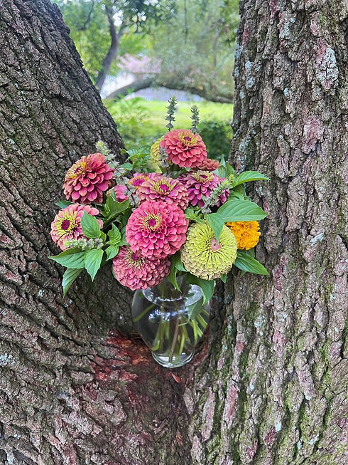 10F026A5-8A32-4FC9-8D90-7F2E1C3DD5DBFlowers.jpeg