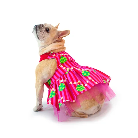 Cindy Lou Who Dress Rosiesclothes