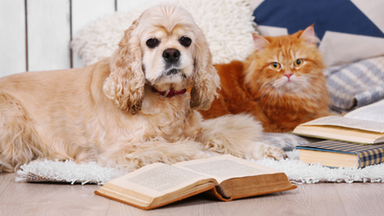 Kedi ve Köpeklerde İç Parazit ve İç Parazit Ürünleri