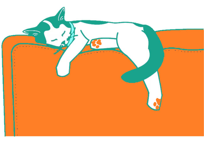 Koltuğa sarılarak yatan kedi çizimi sarmaşık pozisyonu