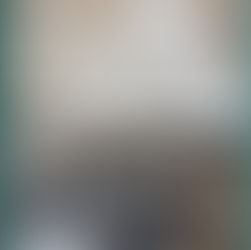 Anne kedi ve yavruları anne köpek ve yavruları