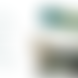 Kedilerde Fip Nedenleri, Belirtileri, Teşhisi ve Tedavisi