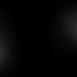 Kedilerde ve Köpeklerde Tüy Dökülmesi