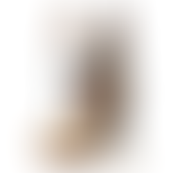 Sarımsak: Zannedilenin Aksine Köpekler İçin Sağlıklıdır