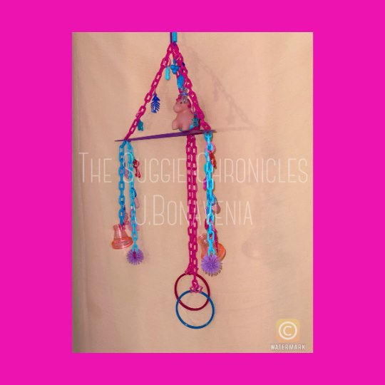 206122094_10159054744574933_7768984396512666393_n