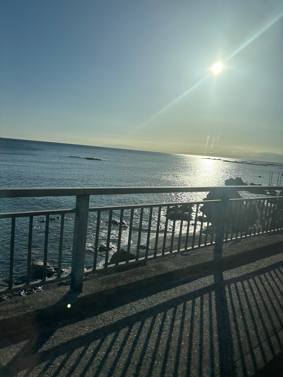 海岸沿いの道✨