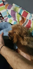 20191106_235847.jpg