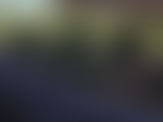 Your Secret to a Spectacular Spring Garden: It's Time to Plant Fall Bulbs!