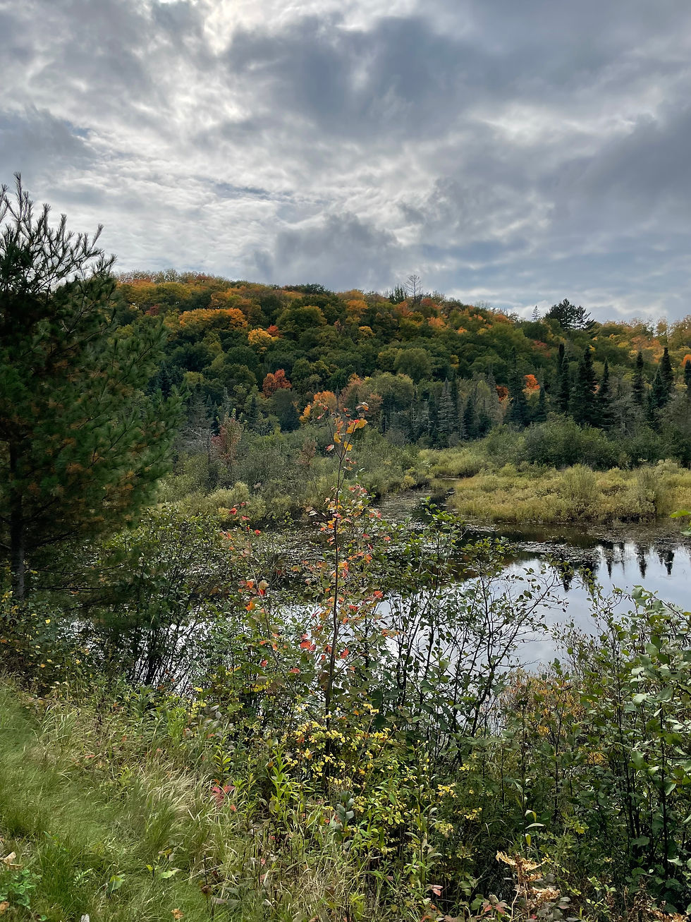 Fall for the Colors: Why Michigan's Upper Peninsula is an Autumn Dream