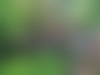 Don't Let The Corona Virus Cramp Your Spring Gardening