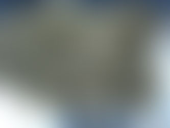 Autumn is the best time of the year to add nutrients to your soil.