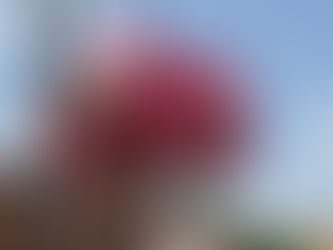 Greater Ishpeming Negaunee Area Chamber of Commerce announces the 2019 Volunteer Award going to Lind