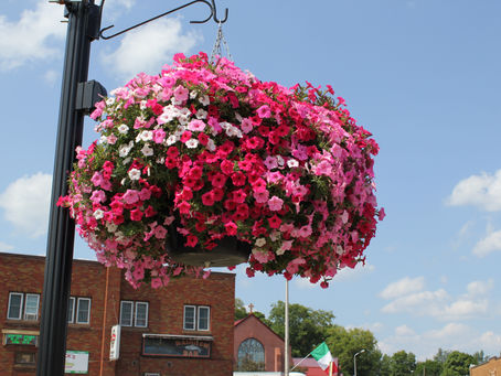 Greater Ishpeming Negaunee Area Chamber of Commerce announces the 2019 Volunteer Award going to Lind
