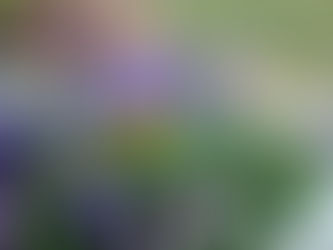 To Plant A Garden Is To Believe In Tomorrow