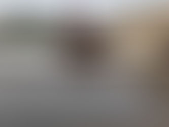 From Storage Shed To Storefront